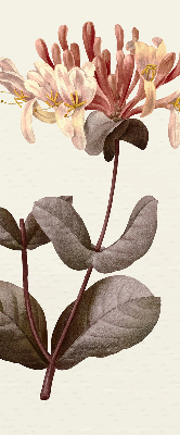 Rolgordijn verduisterend Vallende bloem