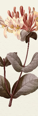 Rolgordijn verduisterend Vallende bloem