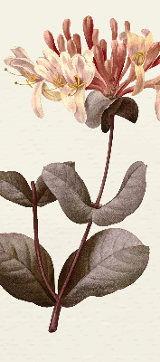 Rolgordijn verduisterend Vallende bloem