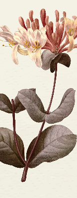 Rolgordijn verduisterend Vallende bloem