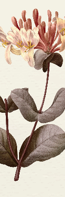 Rolgordijn verduisterend Vallende bloem