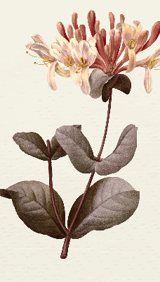 Rolgordijn verduisterend Vallende bloem