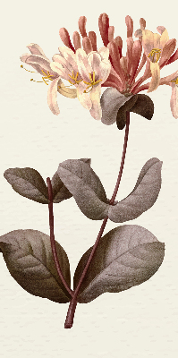 Rolgordijn verduisterend Vallende bloem