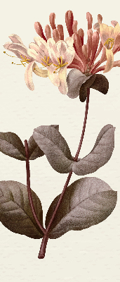 Rolgordijn verduisterend Vallende bloem