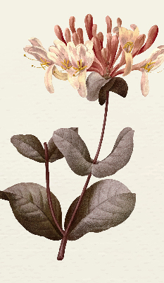 Rolgordijn verduisterend Vallende bloem