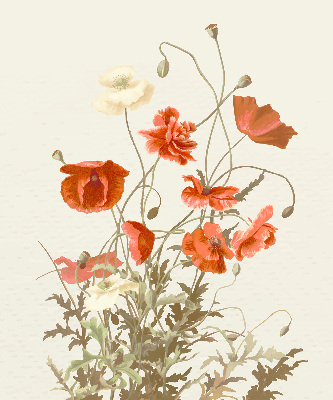 Rolgordijn voor het raam Klaprozen