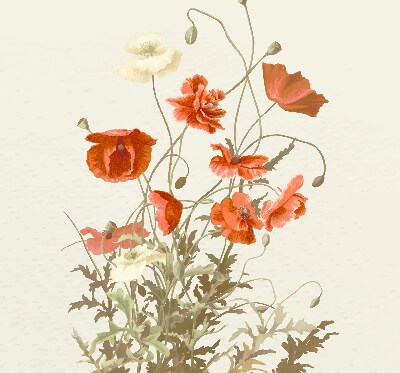 Rolgordijn voor het raam Klaprozen