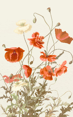 Rolgordijn voor het raam Klaprozen