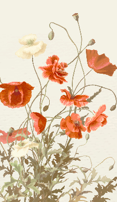 Rolgordijn voor het raam Klaprozen