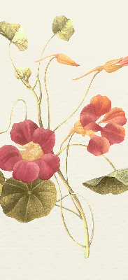 Rolgordijn verduisterend Bloem