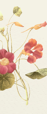 Rolgordijn verduisterend Bloem