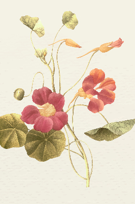 Rolgordijn verduisterend Bloem