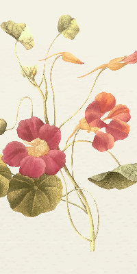 Rolgordijn verduisterend Bloem