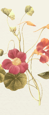 Rolgordijn verduisterend Bloem