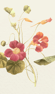 Rolgordijn verduisterend Bloem