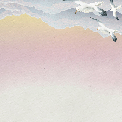 Rolgordijn verduisterend Vliegende vogels