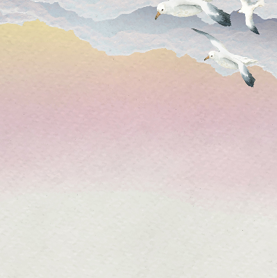 Rolgordijn verduisterend Vliegende vogels