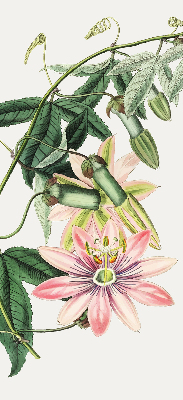 Rolgordijn verduisterend Roze bloem