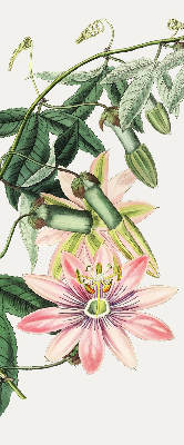 Rolgordijn verduisterend Roze bloem