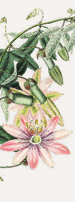 Rolgordijn verduisterend Roze bloem