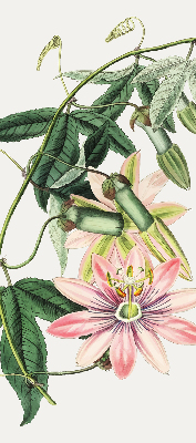 Rolgordijn verduisterend Roze bloem