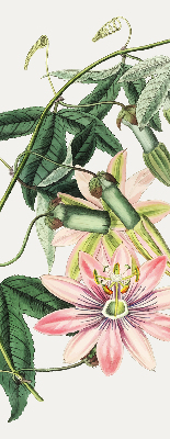 Rolgordijn verduisterend Roze bloem