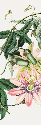 Rolgordijn verduisterend Roze bloem