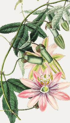 Rolgordijn verduisterend Roze bloem