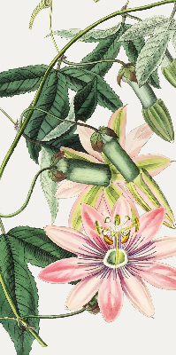 Rolgordijn verduisterend Roze bloem