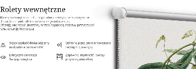 Rolgordijn verduisterend Roze bloem