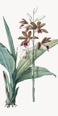 Rolgordijn verduisterend Bloem