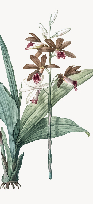 Rolgordijn verduisterend Bloem