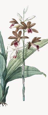 Rolgordijn verduisterend Bloem