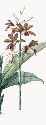 Rolgordijn verduisterend Bloem