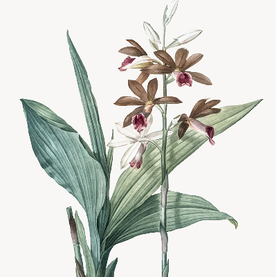 Rolgordijn verduisterend Bloem