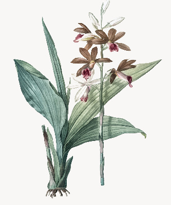 Rolgordijn verduisterend Bloem