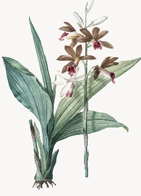 Rolgordijn verduisterend Bloem