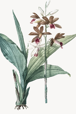 Rolgordijn verduisterend Bloem