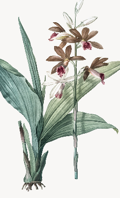 Rolgordijn verduisterend Bloem