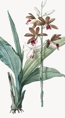 Rolgordijn verduisterend Bloem