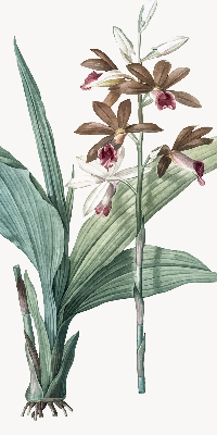 Rolgordijn verduisterend Bloem