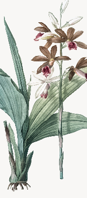 Rolgordijn verduisterend Bloem