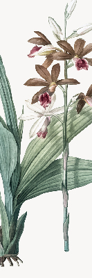 Rolgordijn verduisterend Bloem