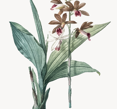 Rolgordijn verduisterend Bloem