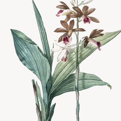 Rolgordijn verduisterend Bloem