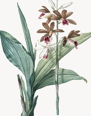 Rolgordijn verduisterend Bloem