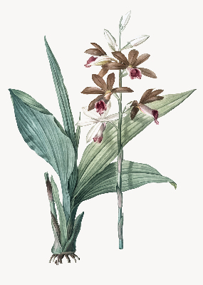 Rolgordijn verduisterend Bloem