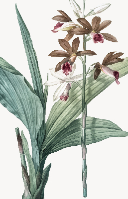 Rolgordijn verduisterend Bloem