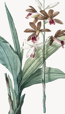 Rolgordijn verduisterend Bloem