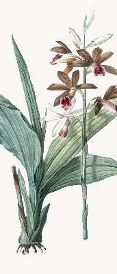 Rolgordijn verduisterend Bloem